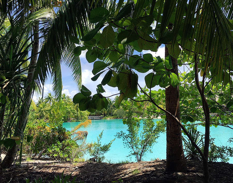 ../Images/LIN,HUI-WEN.Four Seasons Resort Bora Bora (13).jpg